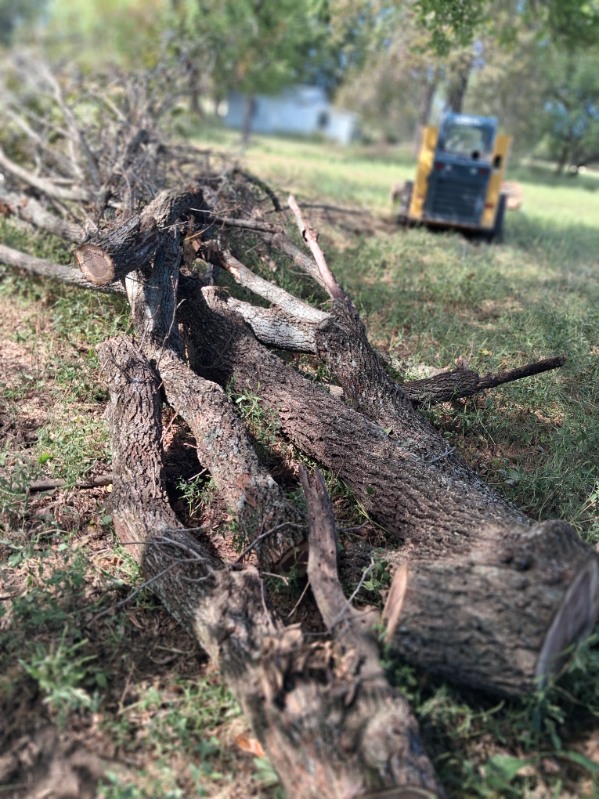 Cut brush gathered for cleanup with logging equipment working in the background
