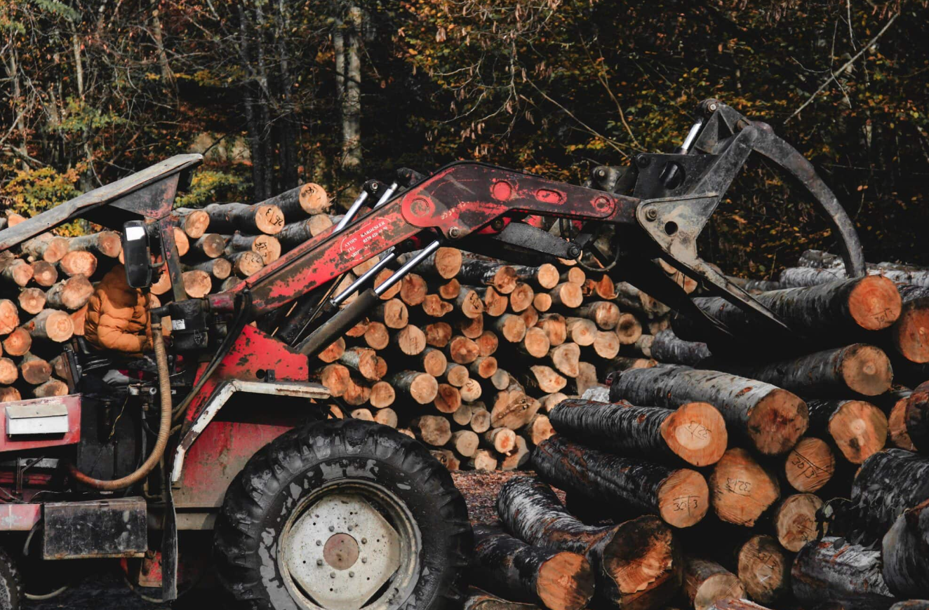 Logging loader moving stacked hardwood logs at a harvest site